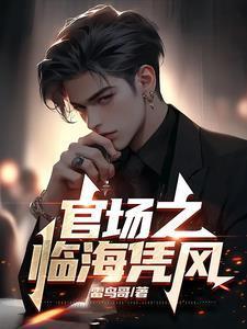 官场之临海凭风全本