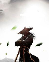 红日redsun