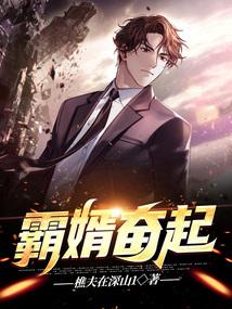 霸婿崌起