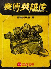 赛博英雄传wiki