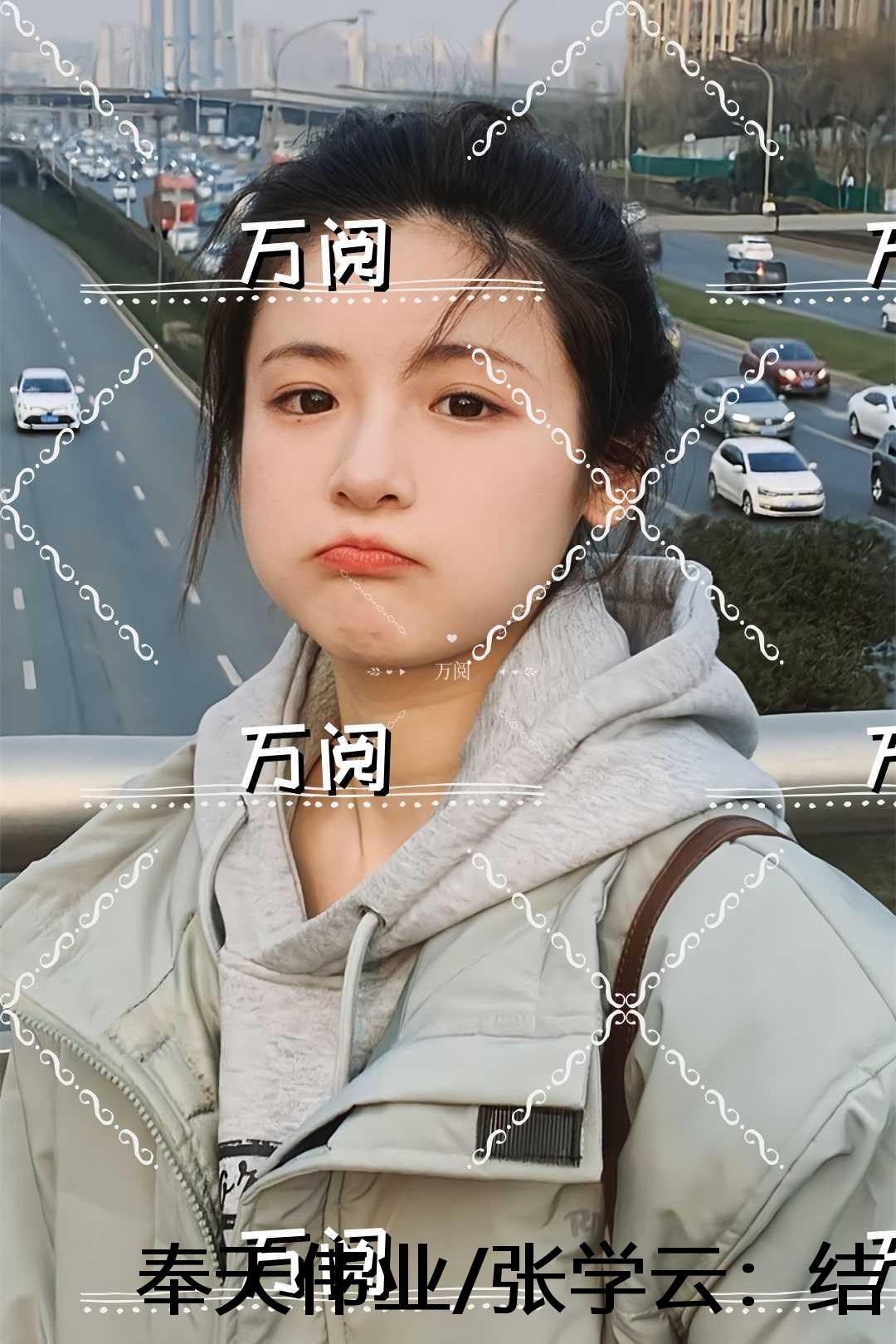 奉天伟业张学云TXT