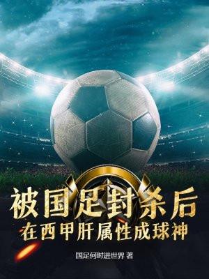 西甲足球用球